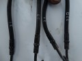 DSC07090.JPG