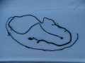 DSC07091.JPG