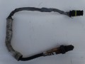 DSC08489.JPG