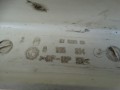 DSC09911.JPG