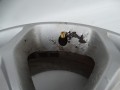 DSC09798.JPG
