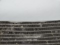 DSC02593.JPG