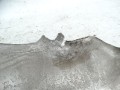 DSC03055.JPG