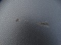 DSC03764.JPG