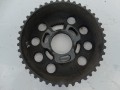 DSC05060.JPG