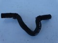 DSC05469.JPG