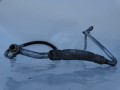 DSC05487.JPG