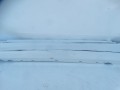 DSC00386.JPG