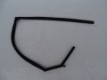 DSC01020.JPG