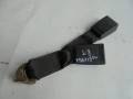 DSC04803.JPG