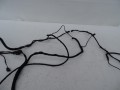 DSC01097.JPG