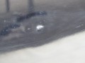 DSC01181.JPG