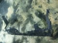 6260727710
