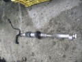 5065566254