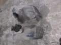 5249674298