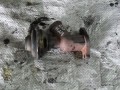 6425868286