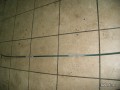 5307655301