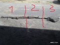 6421941908