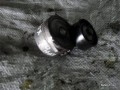 6425519074
