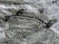 6425800327